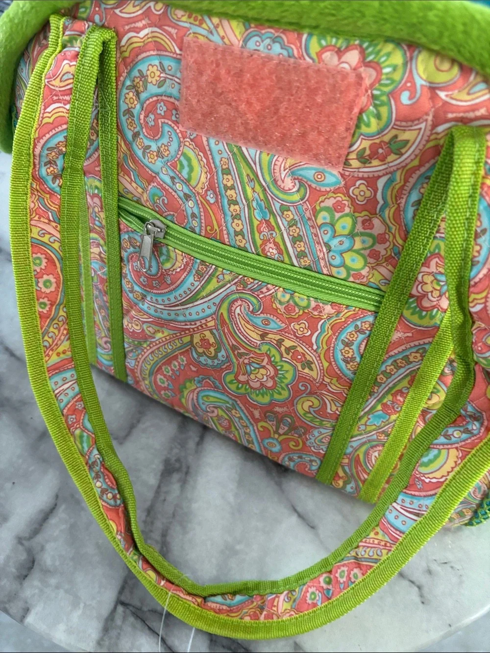Small Pet Carrier Tote in Coral Paisley with Lime Trim